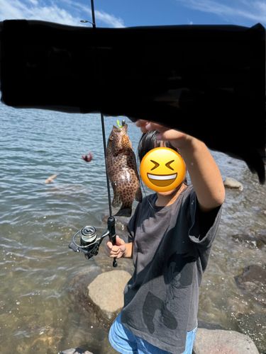 西伊豆