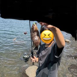 ハタ
