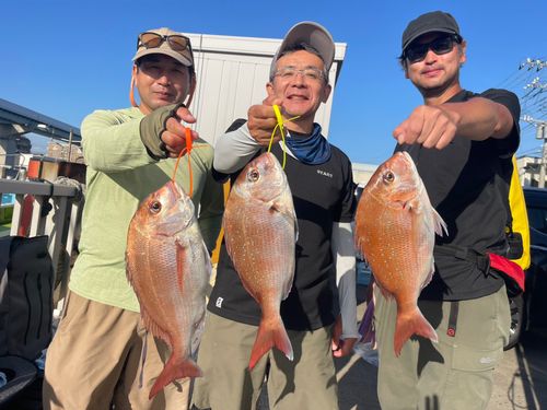 マダイの釣果