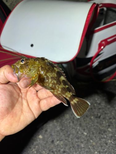 日本鋼管付近