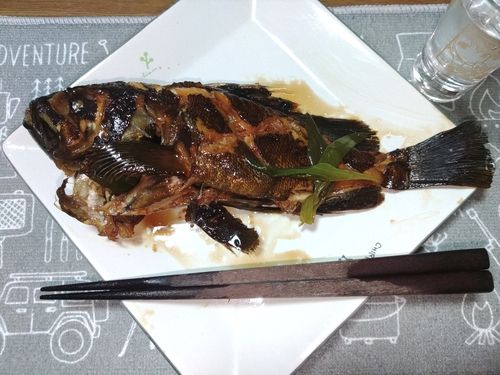 白谷海浜公園