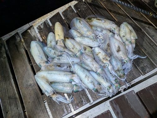 大阪湾