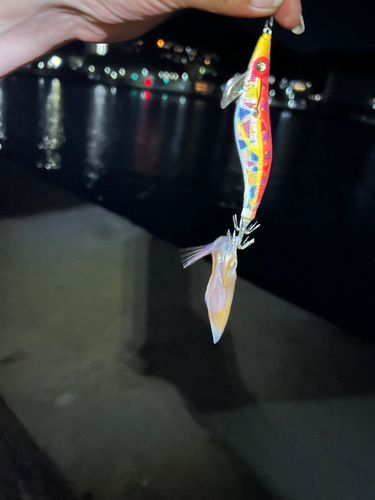 関門海峡 （福岡）