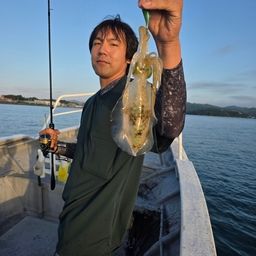 アオリイカ