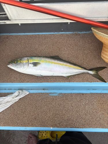 伊勢湾