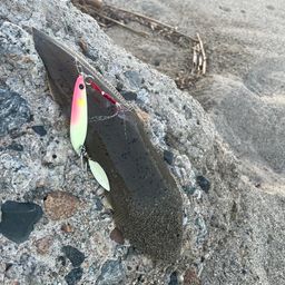 シタビラメ
