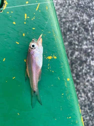 用宗広野海岸公園