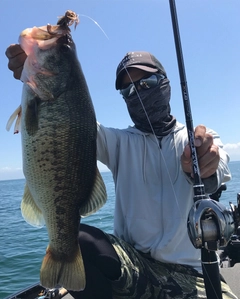 ブラックバスの釣果