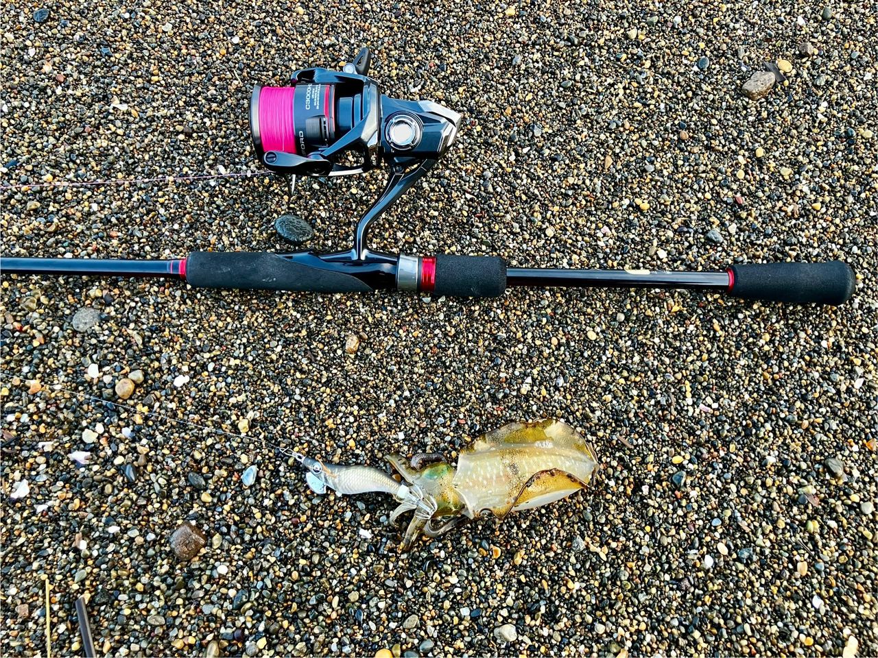 シマノ　セフィアBB S80M シマノ セフィア BB S80M (ロッド・釣竿) 価格比較 - 価格.com