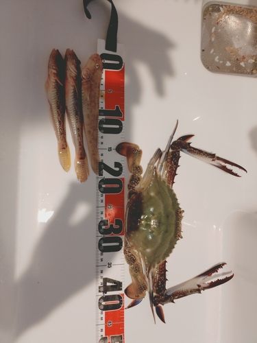 上磯漁港