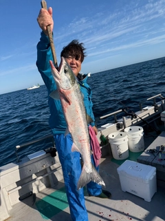 アキアジの釣果