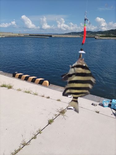 西目漁港
