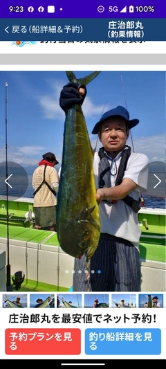 シイラの釣果