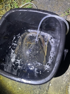 ニホンウナギの釣果