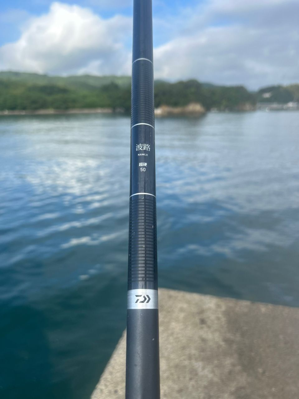 波路 硬調80 ダイワ(DAIWA) 万能振出竿 波路 硬調80 釣り竿 万能振出竿