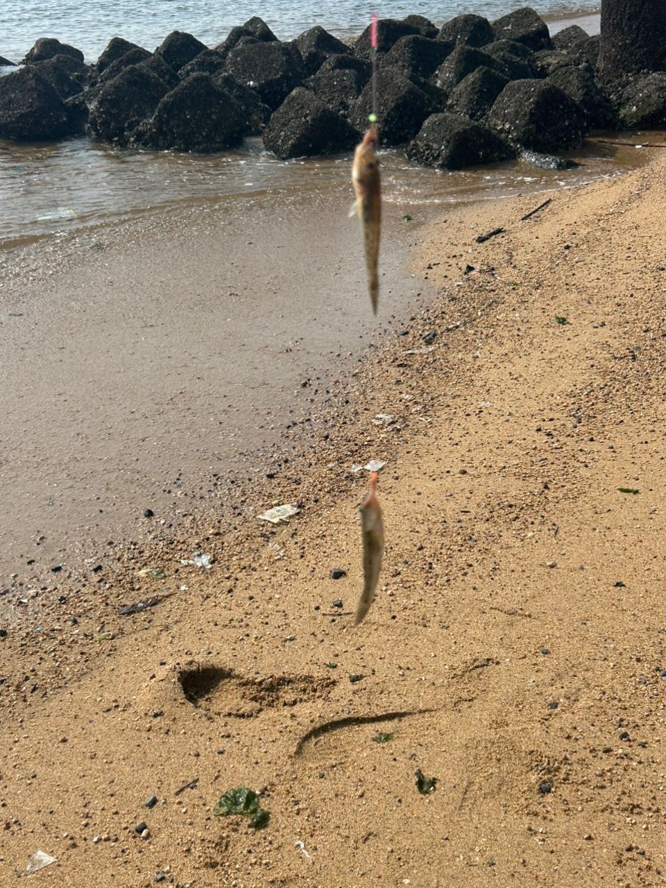 キス