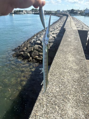 釣果