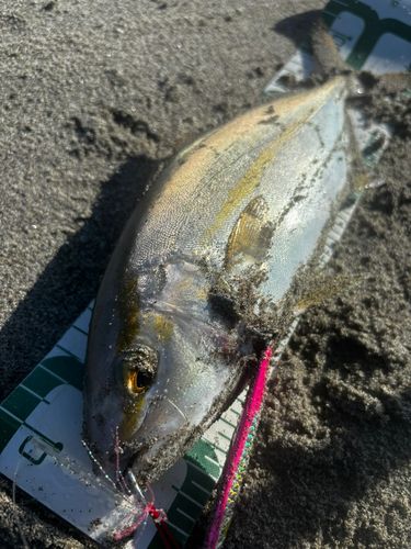 大倉戸海岸