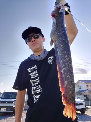 マナマズの釣果