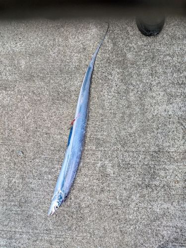 大浜地区ふれあい広場