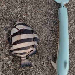 サンバソウ