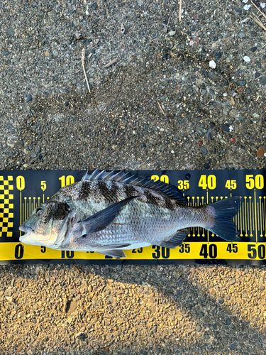 奥浜名湖