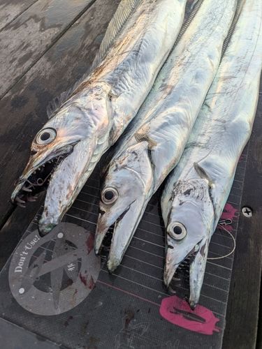 小名浜港アクアマリンふくしま周辺