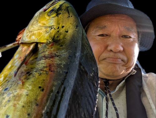 相模湾