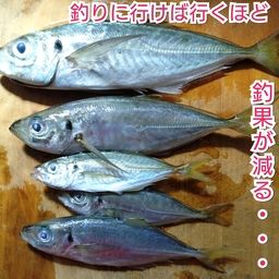 アジ
