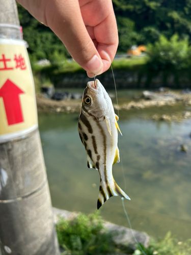沖縄本島