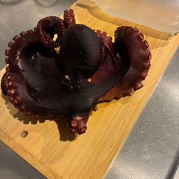 マダコ