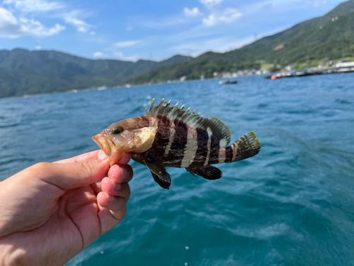 敦賀湾