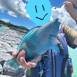 イラブチャー