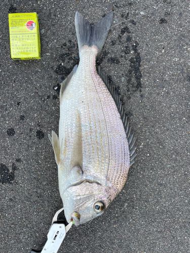 響灘