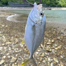 メッキ