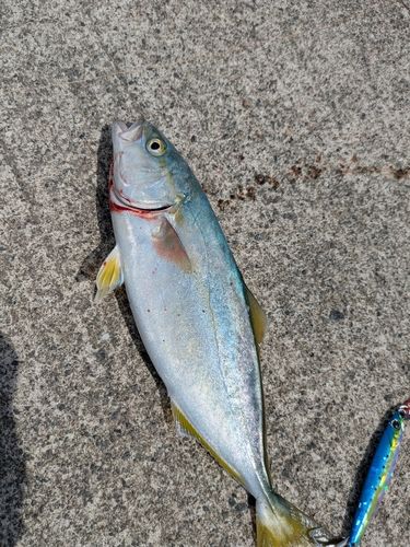 大浜地区ふれあい広場