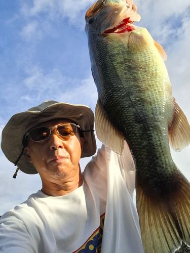 ひなち湖
