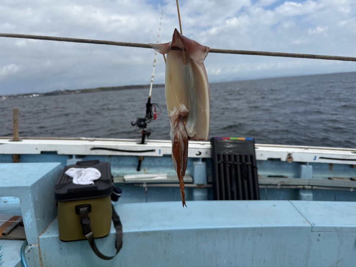 すぎっち0130さんの釣果 1枚目の画像