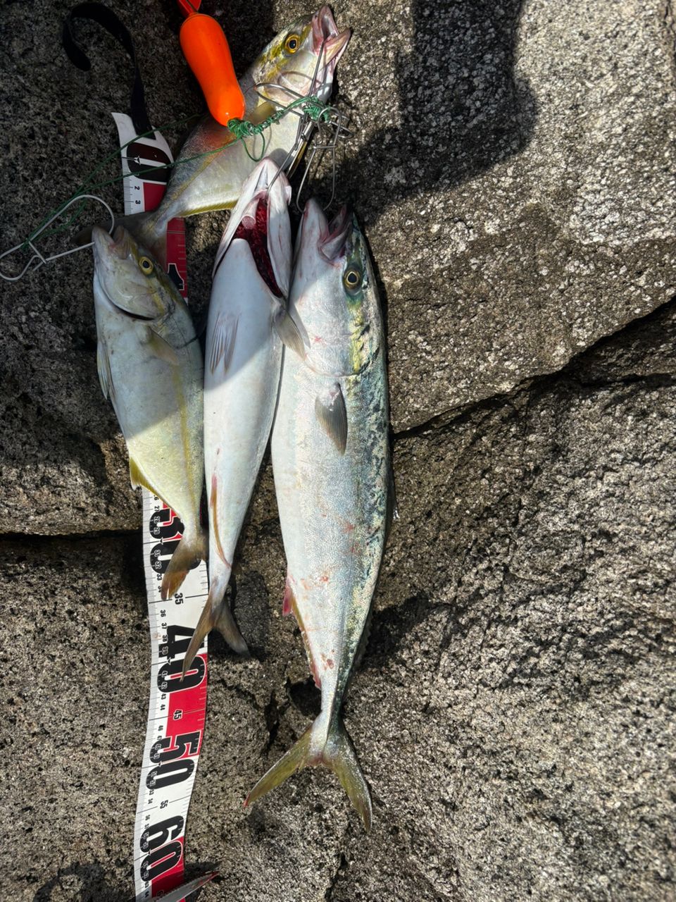 美品☆シマノ☆アンタレスDC MD XG☆青物、ショアジギングも☆K-13 SHIMANO 23アンタレス DC MD XG RIGHTの最安値・インプレ・釣果