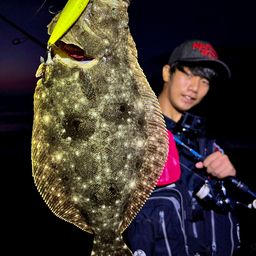 ヒラメ