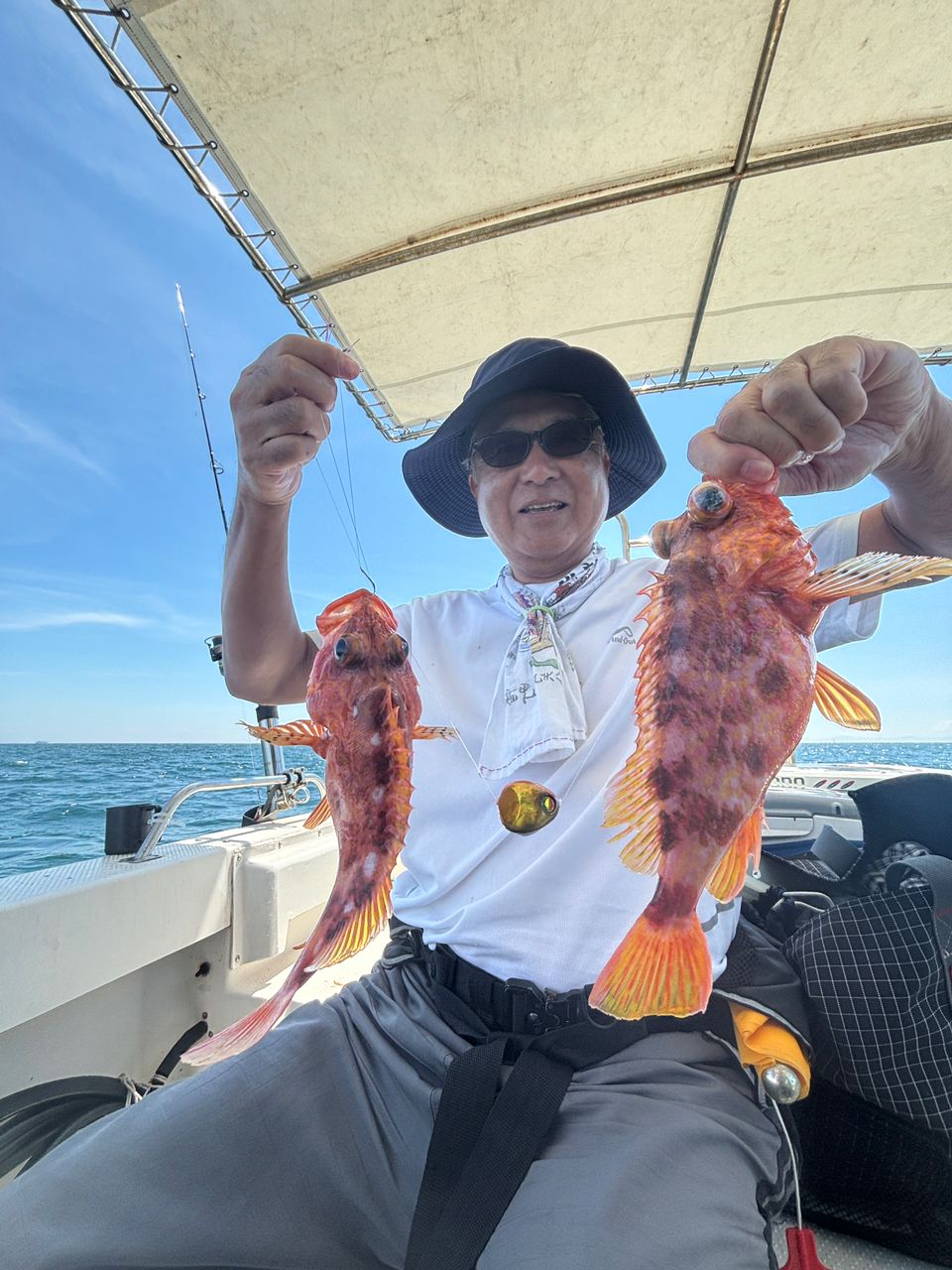 ウッカリカサゴ