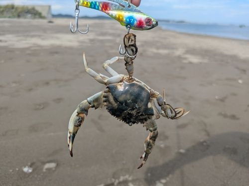 潜ヶ浦水道