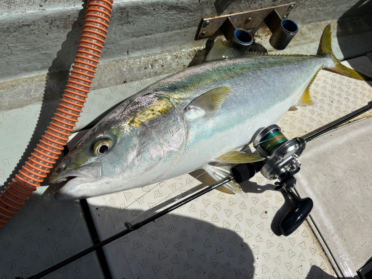 てっちりさんさんの釣果 2枚目の画像