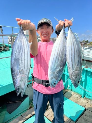 カツオの釣果