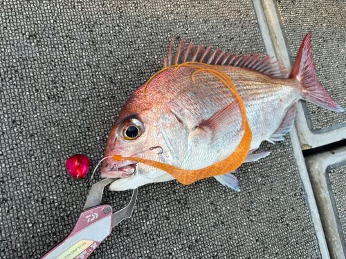 洲本沖