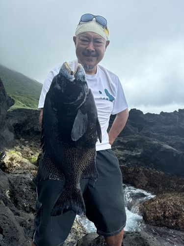イシガキダイの釣果