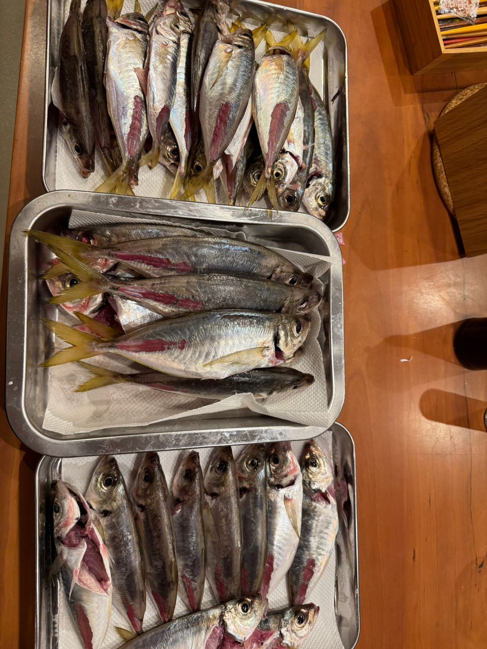 ふじFujiさんの釣果 2枚目の画像