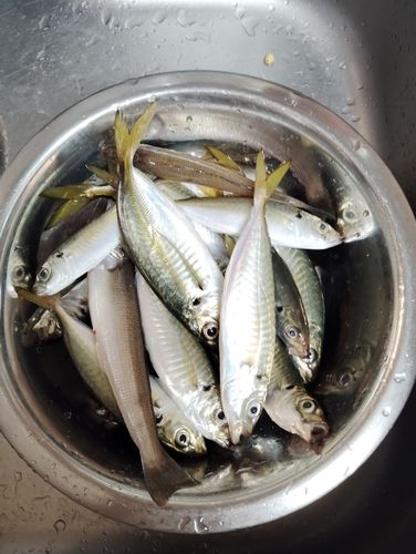 海ほたる付近
