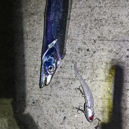 タチウオ