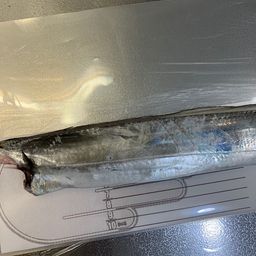 タチウオ